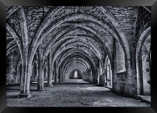 Fountains Abbey  Cellarium Framed Print by Trevor Kersley RIP