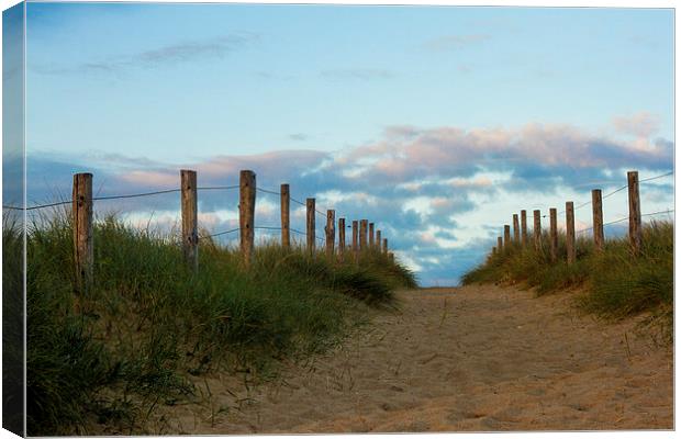 Sandy path leading to the sea Canvas Print by Ian Jones