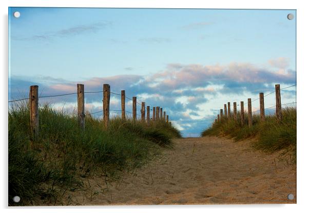 Sandy path leading to the sea Acrylic by Ian Jones