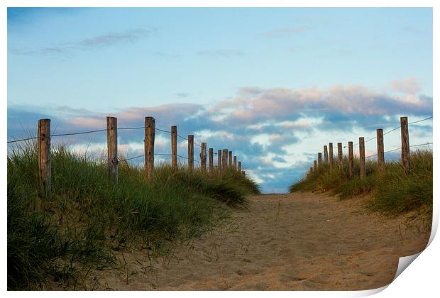 Sandy path leading to the sea Print by Ian Jones