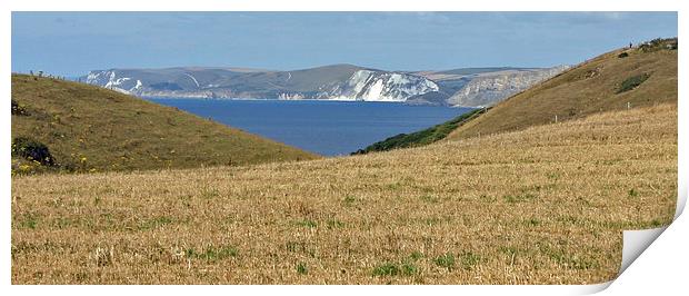 Spectacular Swanage hilltop view Print by Karen Broome
