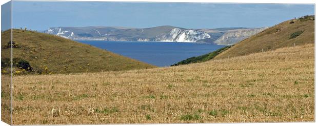 Swanage cliffside view Canvas Print by Karen Broome