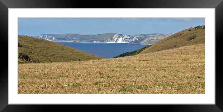 Swanage cliffside view Framed Mounted Print by Karen Broome