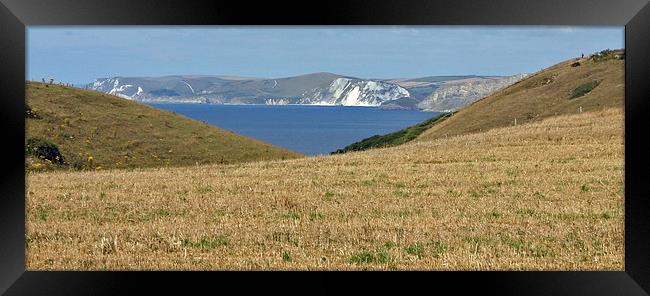 Swanage cliffside view Framed Print by Karen Broome