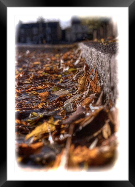 Autumn in Enfield Framed Mounted Print by Nigel Bangert