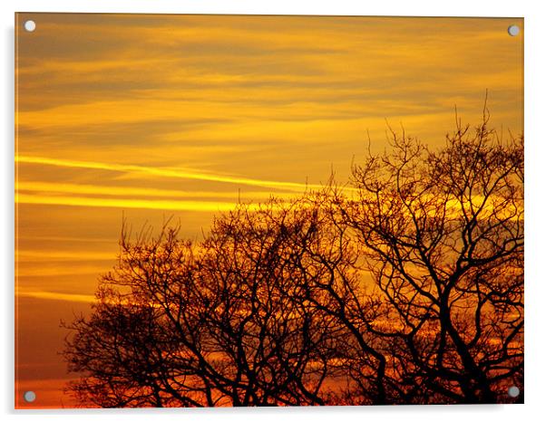 Orange Sunset Acrylic by George Thurgood Howland