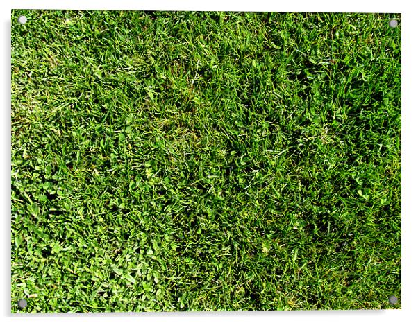 Grass Acrylic by George Thurgood Howland