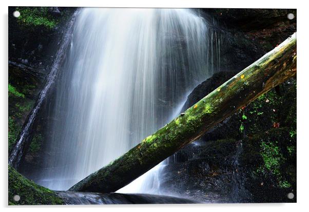 Fairlie waterfalls Acrylic by carolann walker