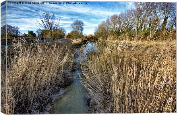 through the reeds Canvas Print by Thanet Photos