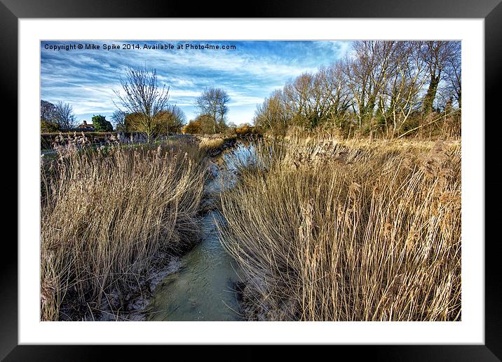 through the reeds Framed Mounted Print by Thanet Photos