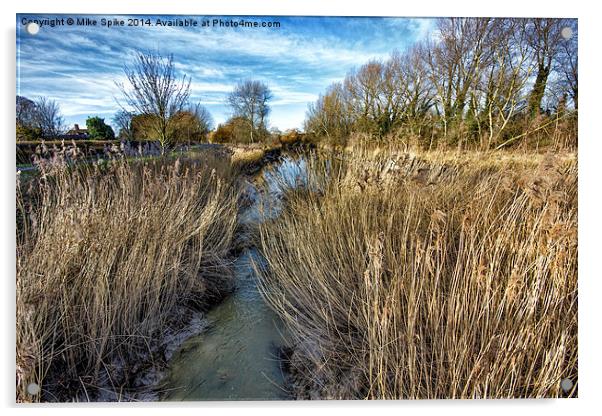 through the reeds Acrylic by Thanet Photos