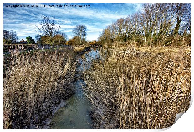 through the reeds Print by Thanet Photos