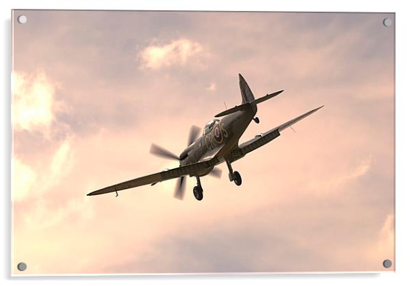 Spitfire LF Mk.XVIe Acrylic by Nigel Bangert