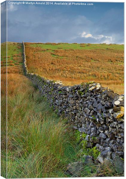 Dry Stone Wall Yorkshire Dales Canvas Print by Martyn Arnold