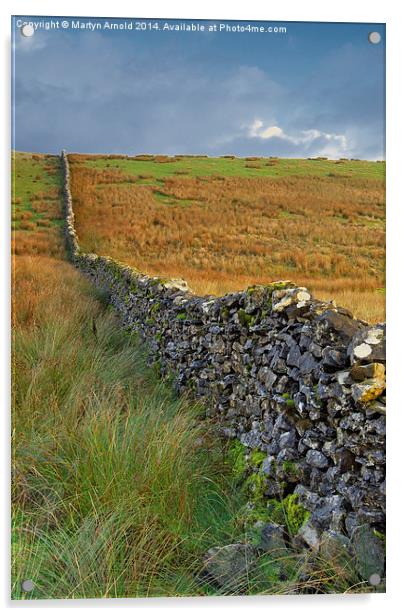 Dry Stone Wall Yorkshire Dales Acrylic by Martyn Arnold