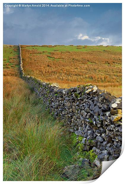 Dry Stone Wall Yorkshire Dales Print by Martyn Arnold