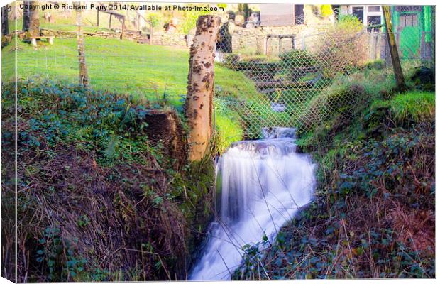 Small Waterfall Tyagwyn Canvas Print by Richard Parry