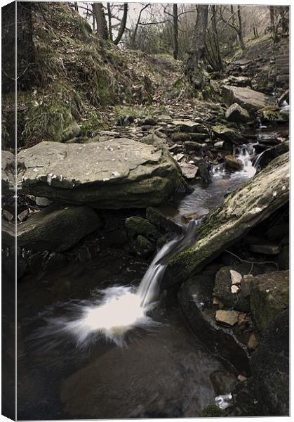 The Downstream Canvas Print by Darren Smith