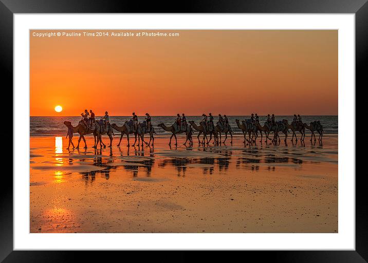Camels, Cable Beach, Western Australia Framed Mounted Print by Pauline Tims