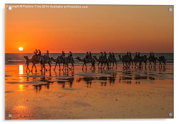 Camels, Cable Beach, Western Australia Acrylic by Pauline Tims