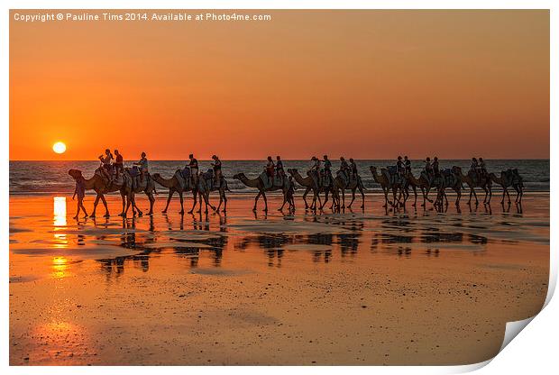 Camels, Cable Beach, Western Australia Print by Pauline Tims