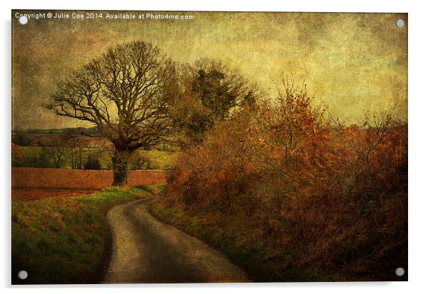 Rural Walks Acrylic by Julie Coe