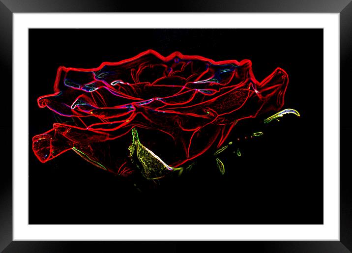 Glowing Red Rose Framed Mounted Print by Steve Purnell