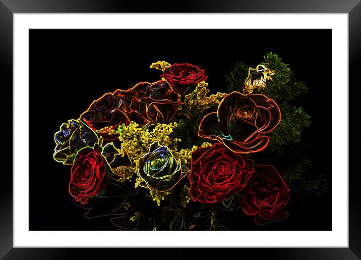 Glowing Roses Framed Mounted Print by Steve Purnell