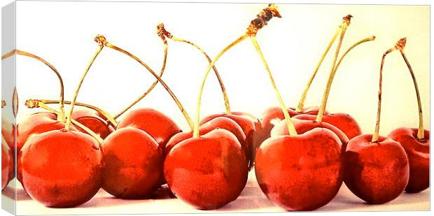 Cherry delights Canvas Print by Sue Bottomley