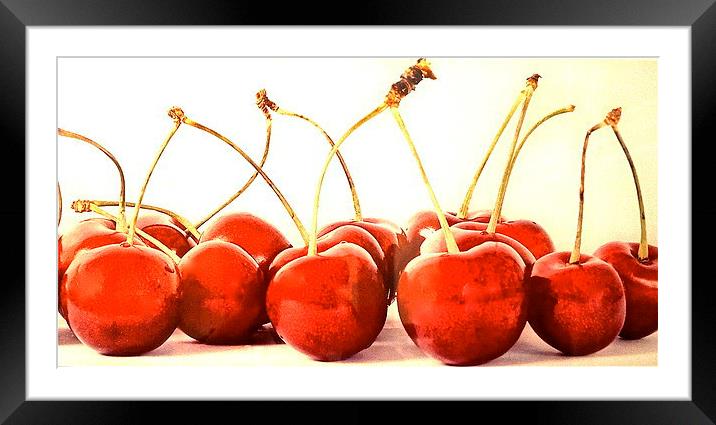 Cherry delights Framed Mounted Print by Sue Bottomley