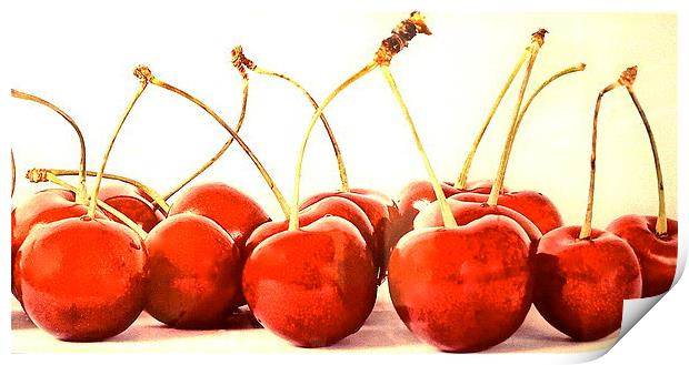Cherry delights Print by Sue Bottomley