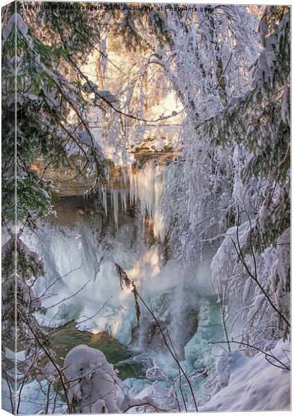 Waterfall, Scheidegg, Germany Canvas Print by Mark Bangert