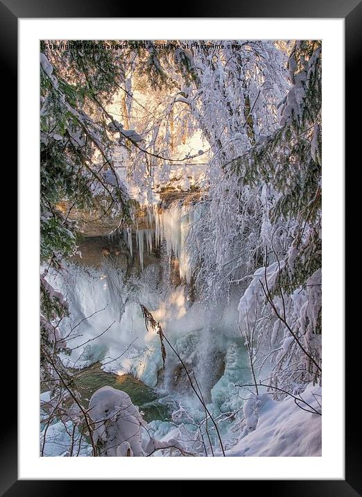 Waterfall, Scheidegg, Germany Framed Mounted Print by Mark Bangert