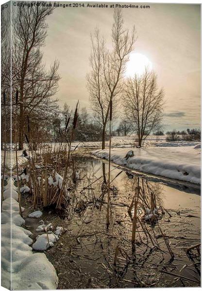 Winter Water Landscape Canvas Print by Mark Bangert