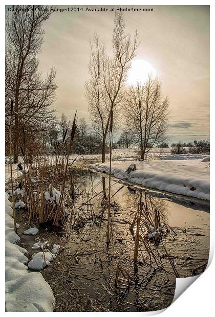 Winter Water Landscape Print by Mark Bangert