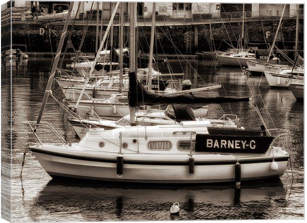 Barney G at Paignton Harbour Canvas Print by Jay Lethbridge