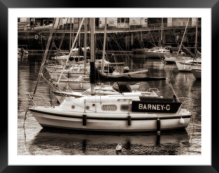 Barney G at Paignton Harbour Framed Mounted Print by Jay Lethbridge