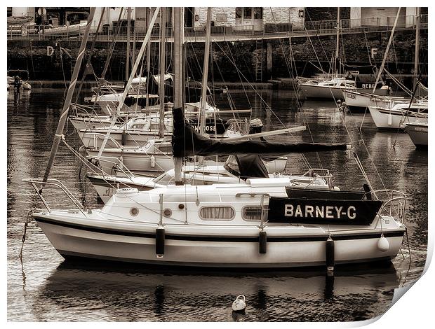 Barney G at Paignton Harbour Print by Jay Lethbridge