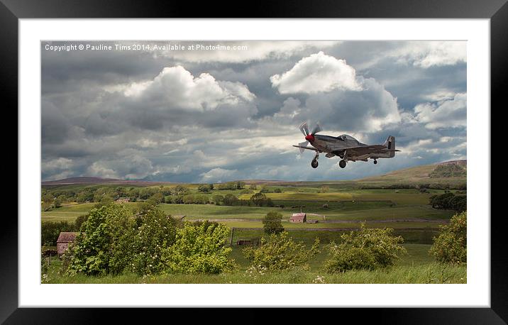 Stormy Landing Framed Mounted Print by Pauline Tims