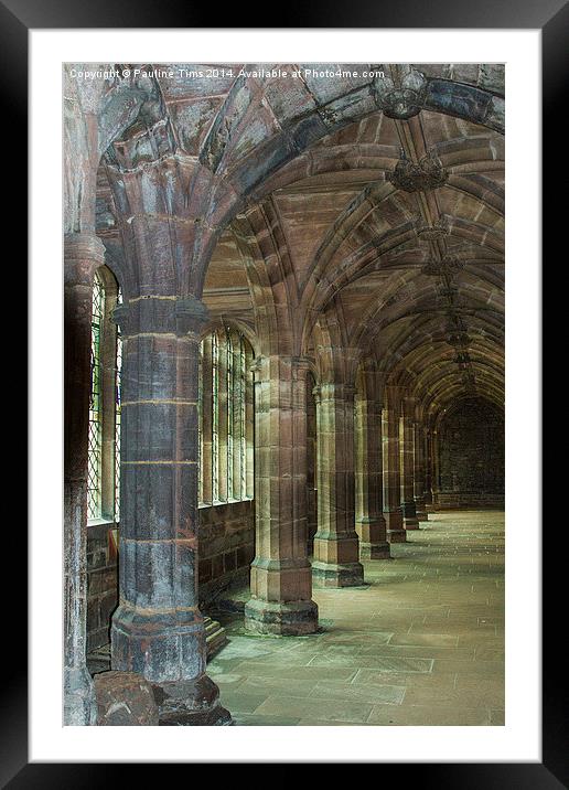 Chester Cathedral U.K Framed Mounted Print by Pauline Tims