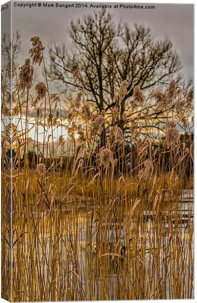 The Lake in Winter Canvas Print by Mark Bangert