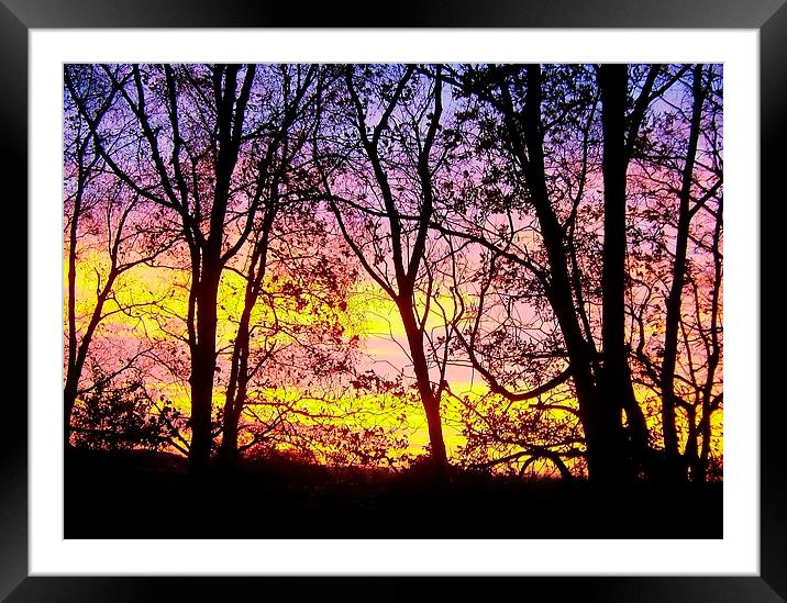 Sunrise And Silhouette Framed Mounted Print by philip milner