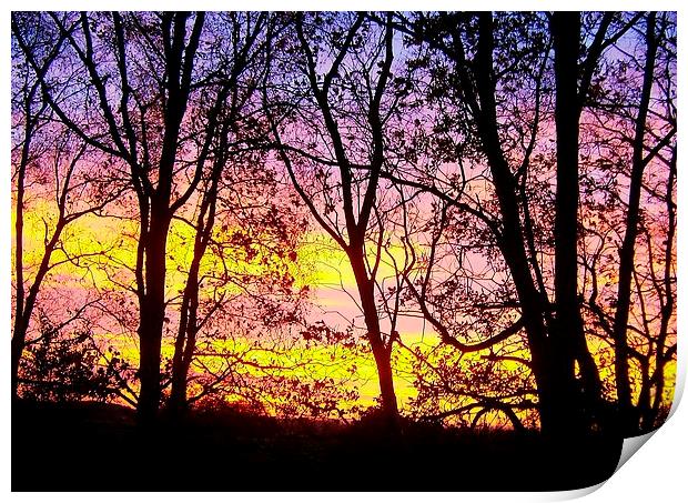 Sunrise And Silhouette Print by philip milner