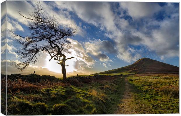Roseberry Topping Winter Blue Skies Canvas Print by Greg Marshall