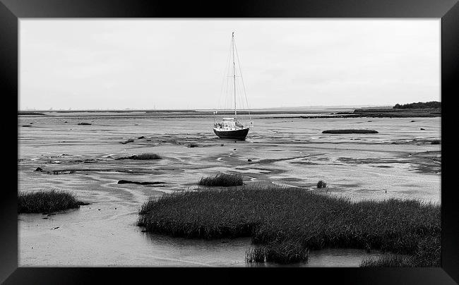 Stranded in the Sand Framed Print by Stewart Nicolaou