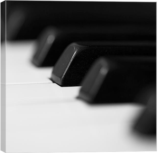 Piano Black and white Canvas Print by Malcolm Smith