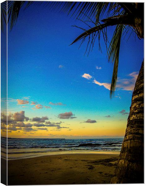 Palm Tree Sunset Canvas Print by Laura Kenny