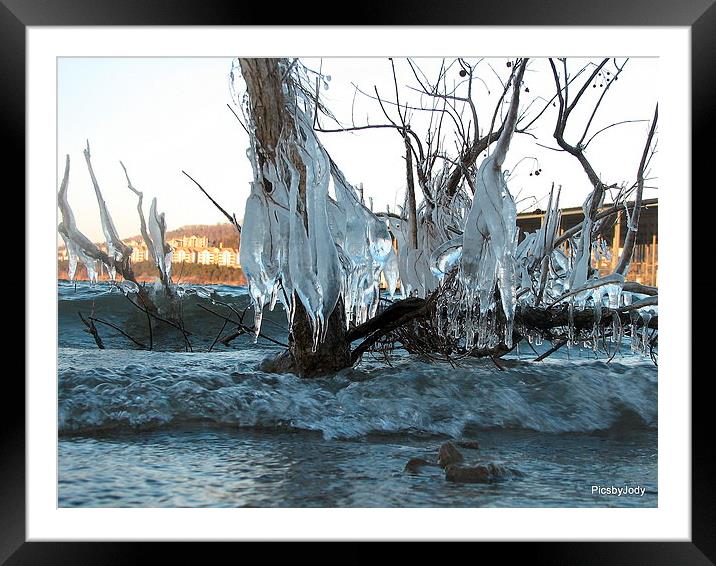Ice on the Shrubry 009 Framed Mounted Print by Pics by Jody Adams