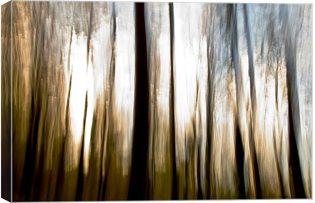 Forest Abstract Canvas Print by Paul Walker