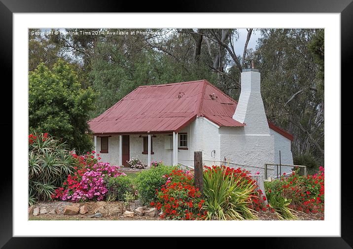 Vignerons Cottage Tahbilk Winery Framed Mounted Print by Pauline Tims